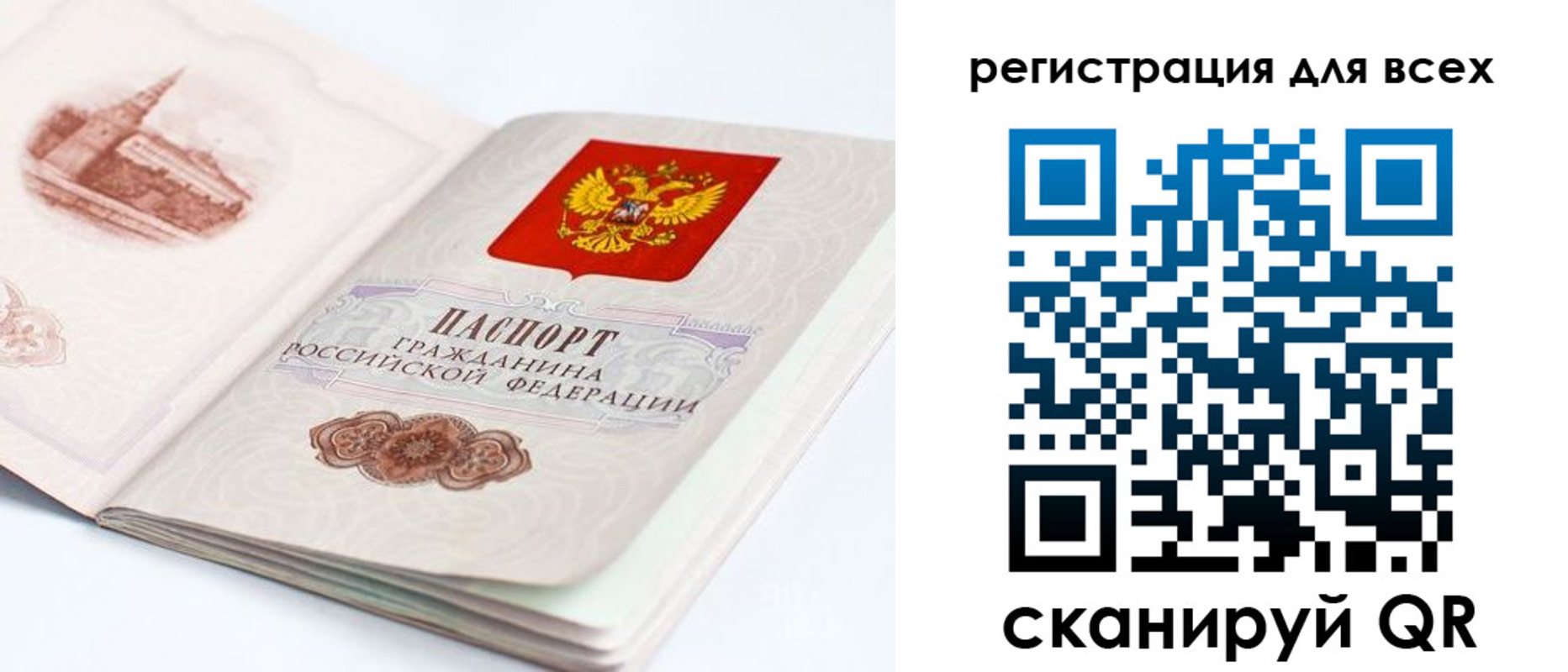 где прописаться в Коле